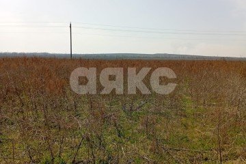 Фото №3: Земельный участок под ИЖС - Темрюк, ул. Ильи Павленко, 346