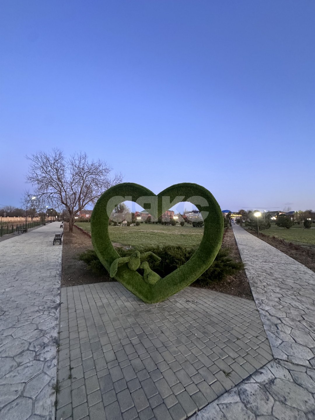 Фото №12: Земельный участок под ИЖС 4.5 сот. - СОТ Кооператор, ул. Лимонная, 183