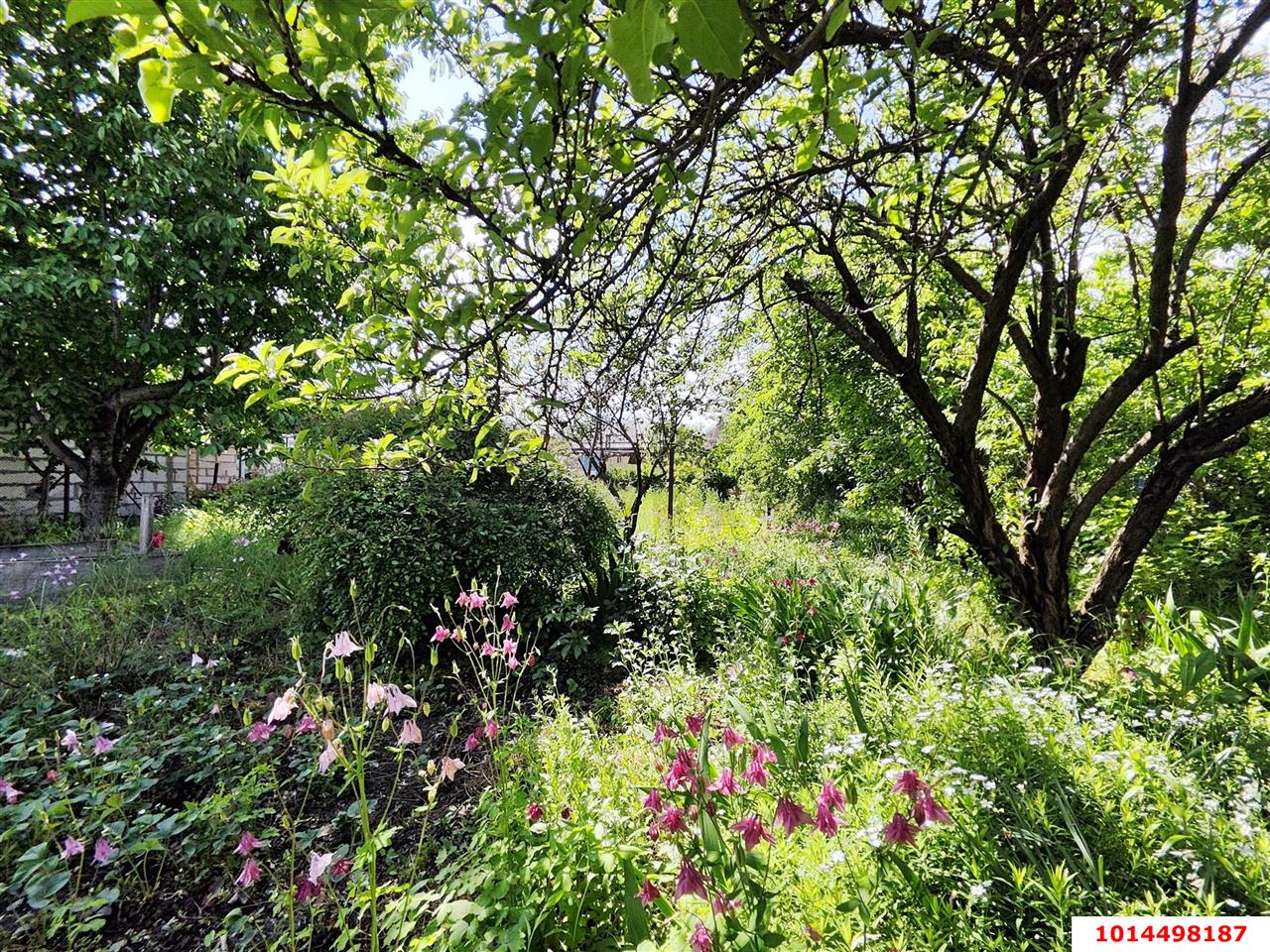 Фото №6: Земельный участок 5.08 сот. - Динская, мкр. ДСНТ Труд, ул. Ягодная, 54