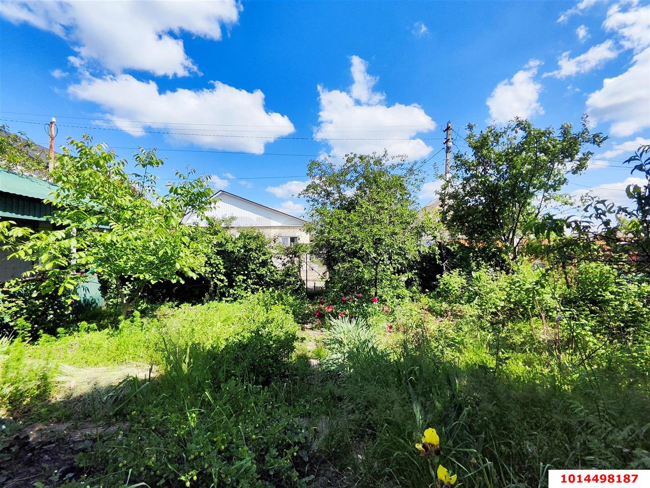 Фото №5: Земельный участок 5.08 сот. - Динская, мкр. ДСНТ Труд, ул. Ягодная, 54