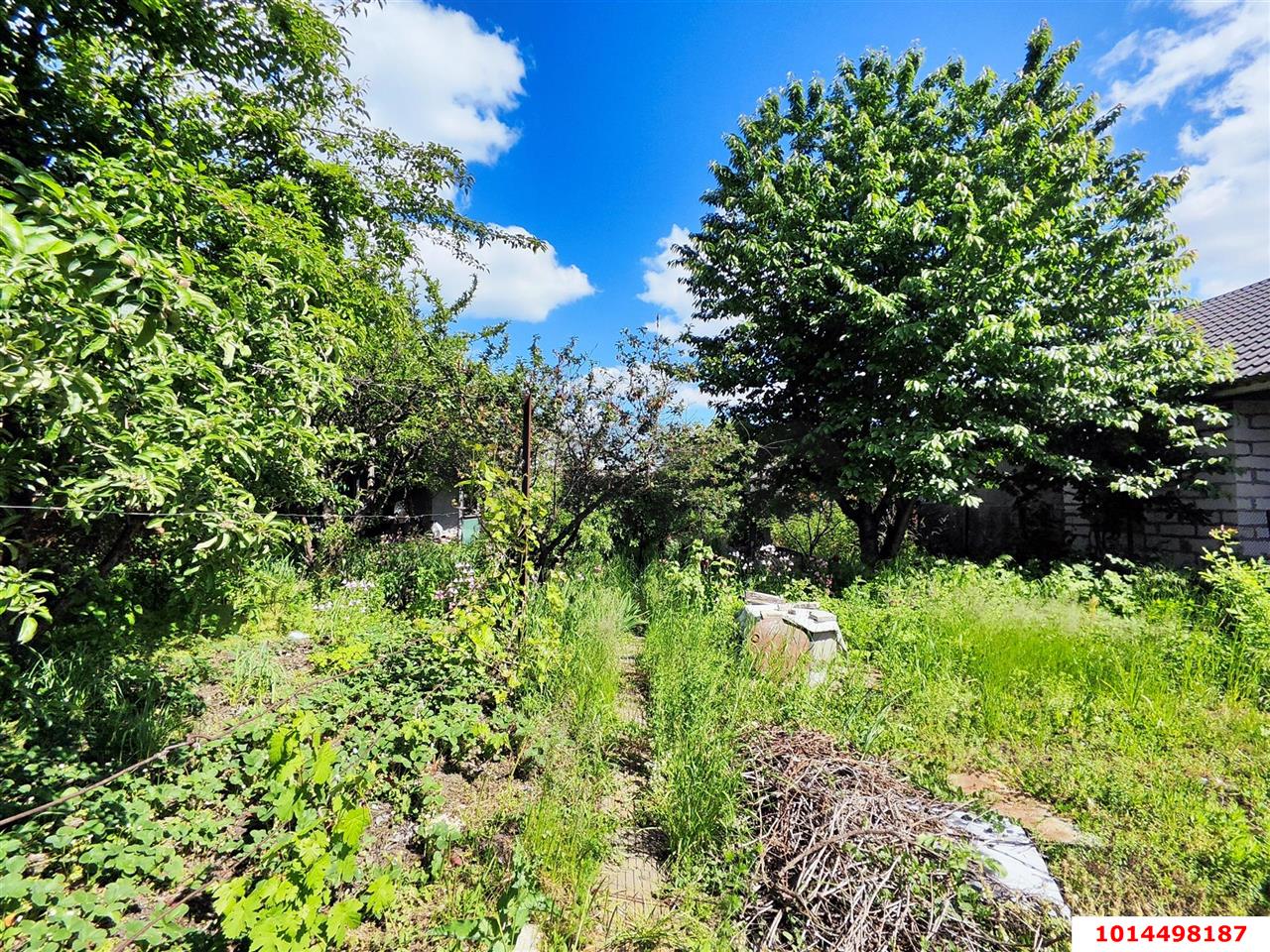 Фото №2: Участок садоводство 5.08 сот. - Динская, ДСНТ Труд, ул. Ягодная, 54