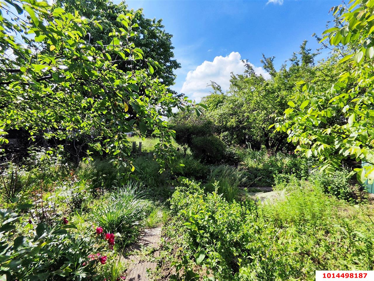 Фото №7: Участок садоводство 5.08 сот. - Динская, ДСНТ Труд, ул. Ягодная, 54