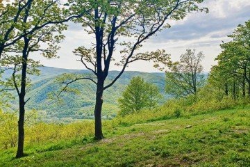 Фото №3: Участок садоводство 8 сот. - ДНП Предгорье, ул. Центральная, 281