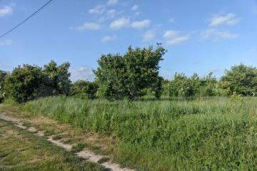 Фото №3: Земельный участок 8 сот. - ДНП Предгорье, ул. Центральная, 281