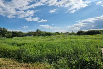 Фото №4: Земельный участок 8 сот. - ДНП Предгорье, ул. Центральная, 281