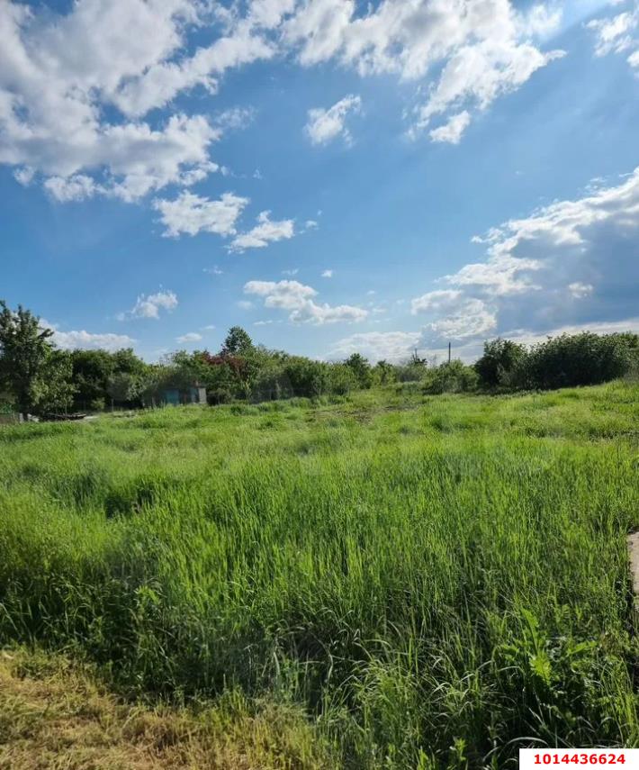 Фото №2: Личное подсобное хозяйство - ДНП Предгорье, ул. Центральная, 281