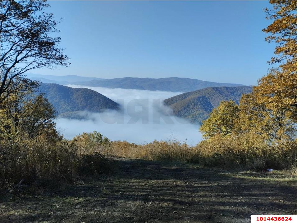 Фото №4: Личное подсобное хозяйство - ДНП Предгорье, ул. Центральная, 281