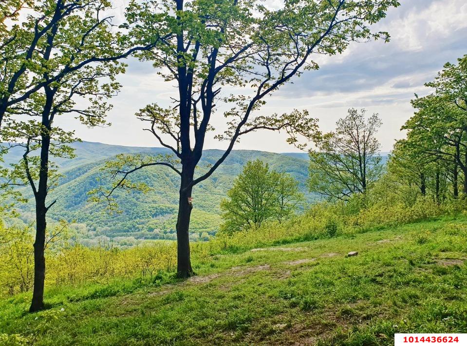 Фото №3: Личное подсобное хозяйство - ДНП Предгорье, ул. Центральная, 281