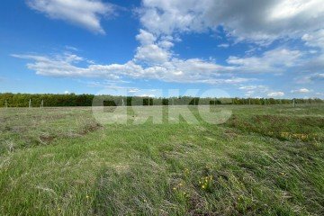 Фото №5: Земельный участок под ИЖС - Майская Горка, ул. Лесная