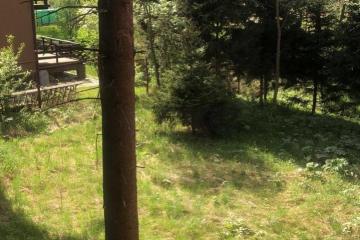 Фото №4: Земельный участок 24.33 сот. - Овсянниково, 3/4