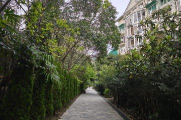 Фото №2: Готовый бизнес 851 м² - Сочи, ж/р Хоста, ул. Кипарисовая, 4