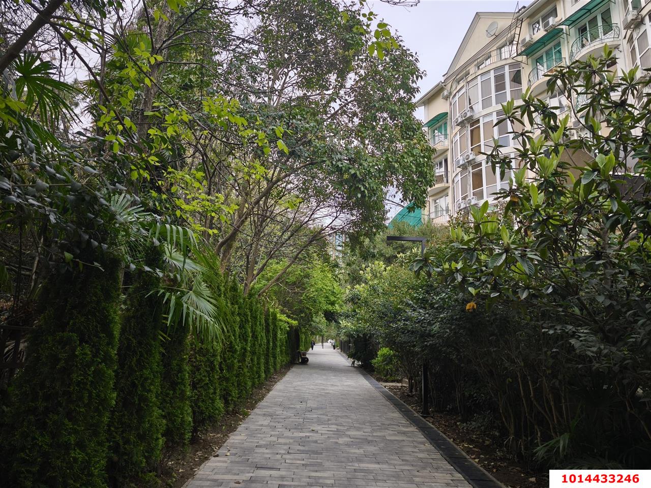 Фото №4: Готовый бизнес 851 м² - Сочи, Хоста, ул. Кипарисовая, 4