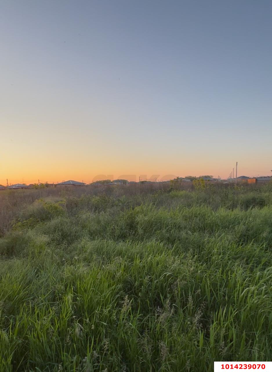 Фото №5: Земельный участок под ИЖС 6.33 сот. - Старокорсунская, Карасунский внутригородской округ, ул. Школьная, 1