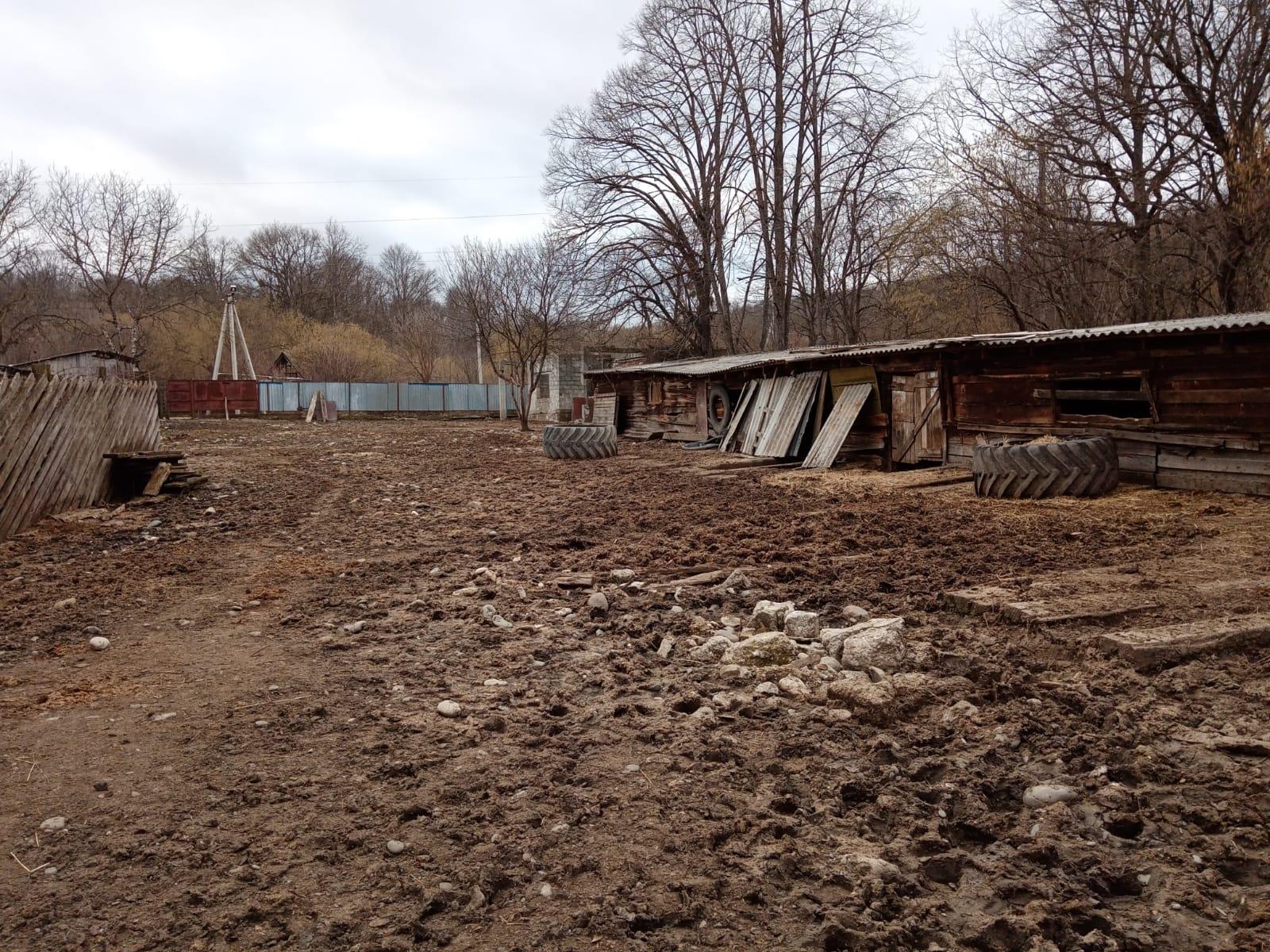 Фото №3: Дом 26 м² + 16.5 сот. - Цветочный, ул. Школьная, 66