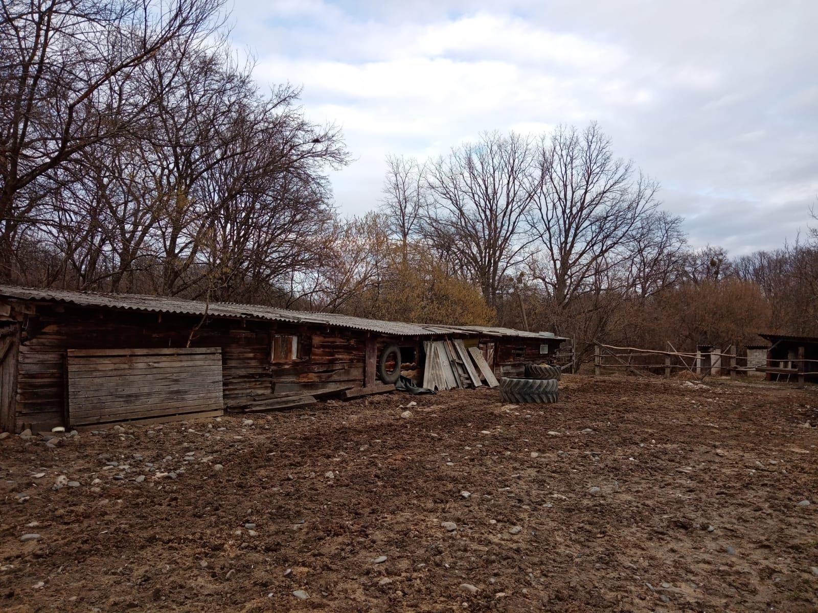 Фото №6: Дом 26 м² + 16.5 сот. - Цветочный, ул. Школьная, 66