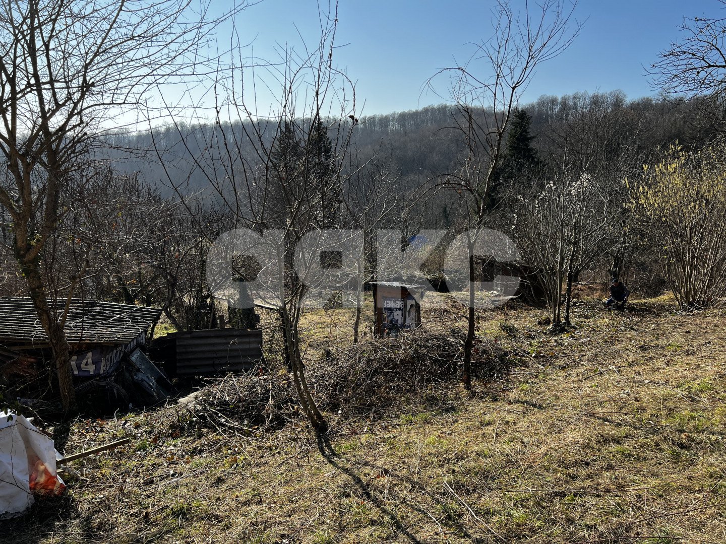 Фото №8: Личное подсобное хозяйство 7 сот. - Илларионовка, Адлерский, 
