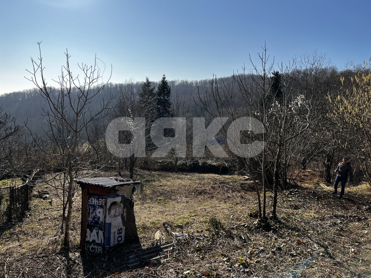 Фото №3: Личное подсобное хозяйство 7 сот. - Илларионовка, Адлерский, 