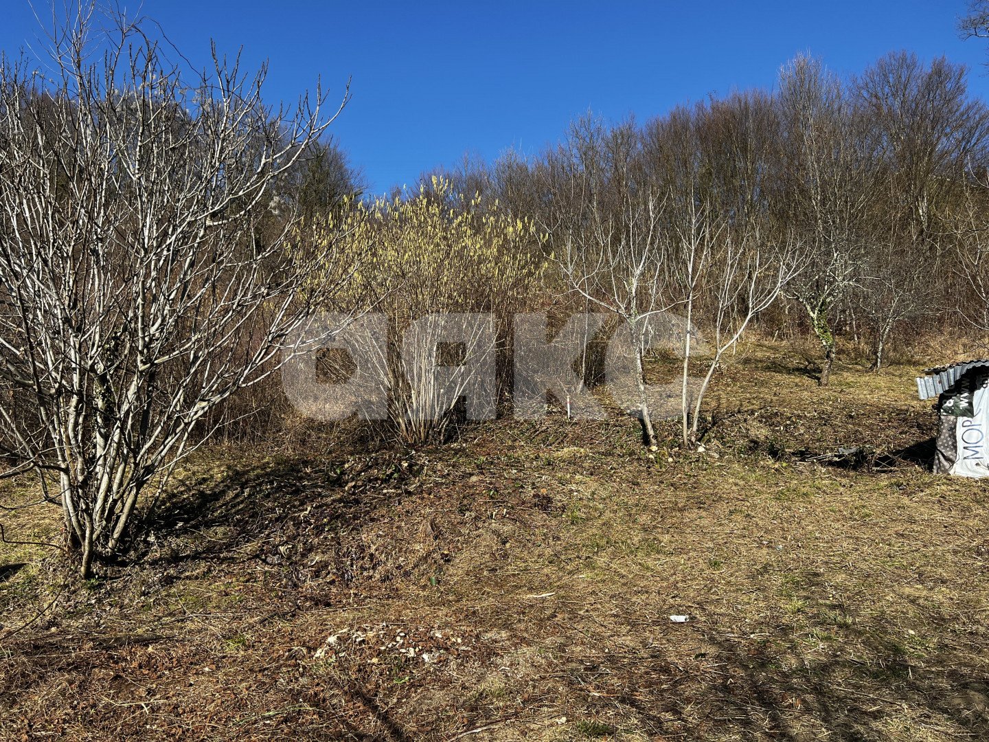 Фото №2: Личное подсобное хозяйство 7 сот. - Илларионовка, Адлерский, 