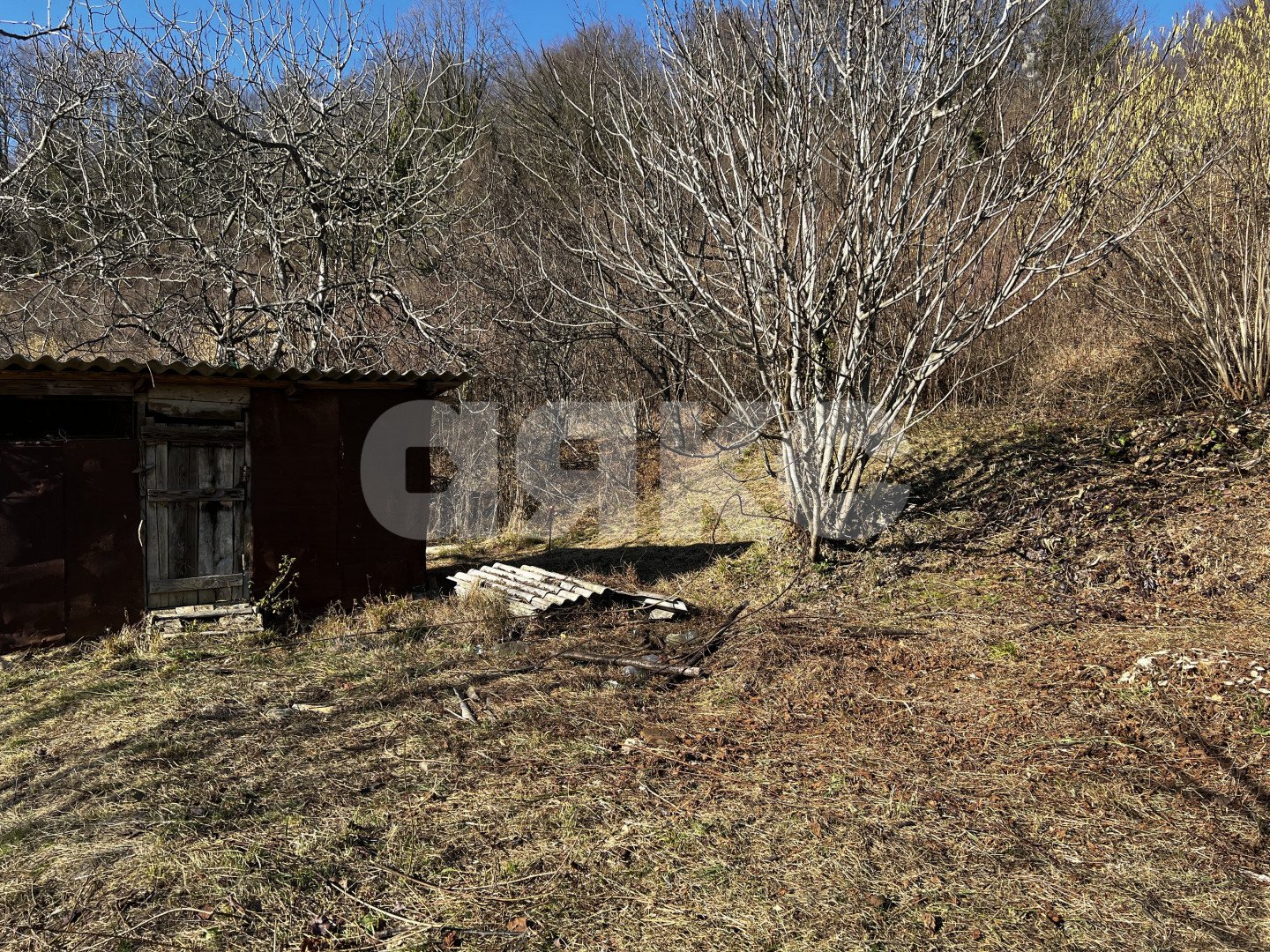 Фото №11: Личное подсобное хозяйство 7 сот. - Илларионовка, Адлерский, 
