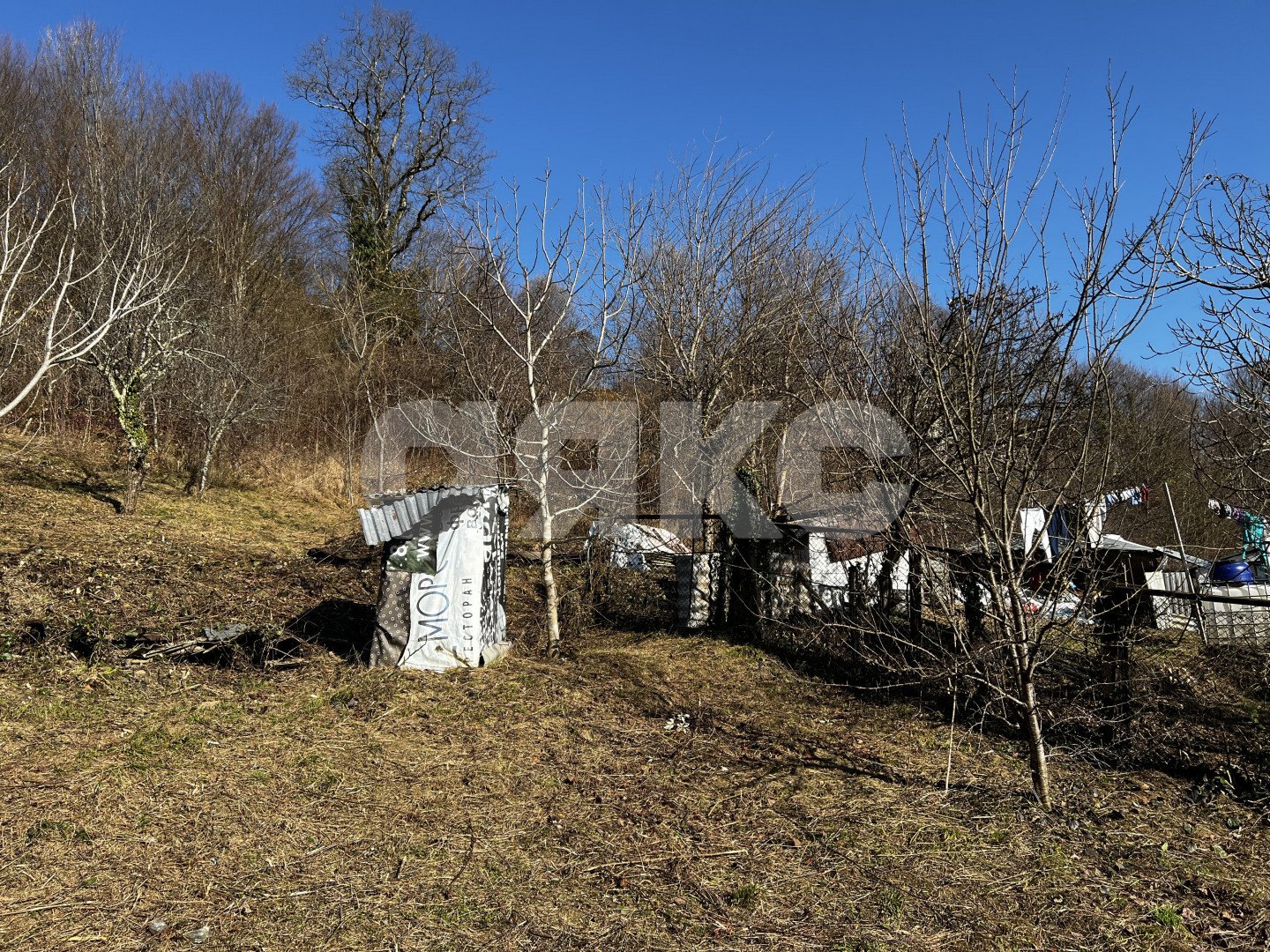 Фото №4: Личное подсобное хозяйство 7 сот. - Илларионовка, Адлерский, 