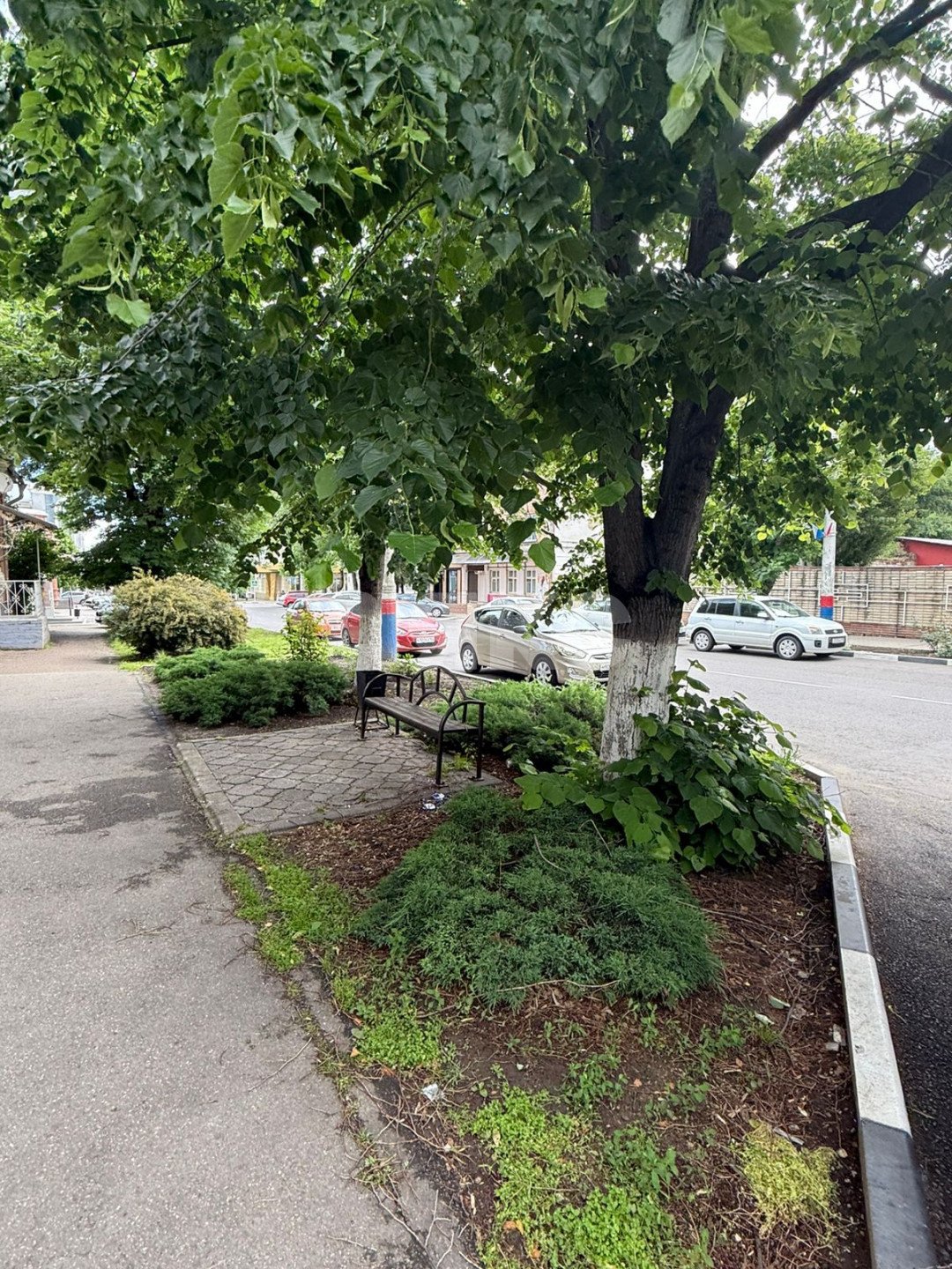 Фото №3: Коммерция 58 м² - Армавир, Оптика, ул. Свердлова, 78