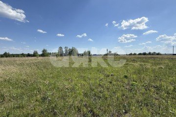 Фото №1: Личное подсобное хозяйство - Острецово, 