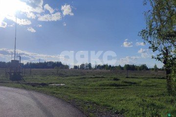 Фото №3: Личное подсобное хозяйство - Острецово, 