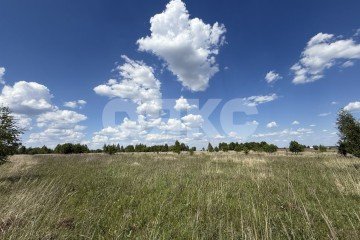 Фото №1: Личное подсобное хозяйство - Острецово, 