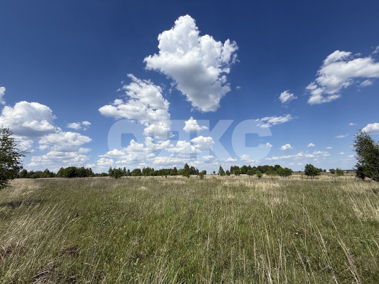 Фото №1: Личное подсобное хозяйство 34 сот. - Острецово, 