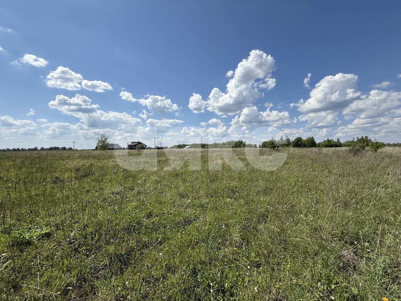 Фото №11: Личное подсобное хозяйство 34 сот. - Острецово, 