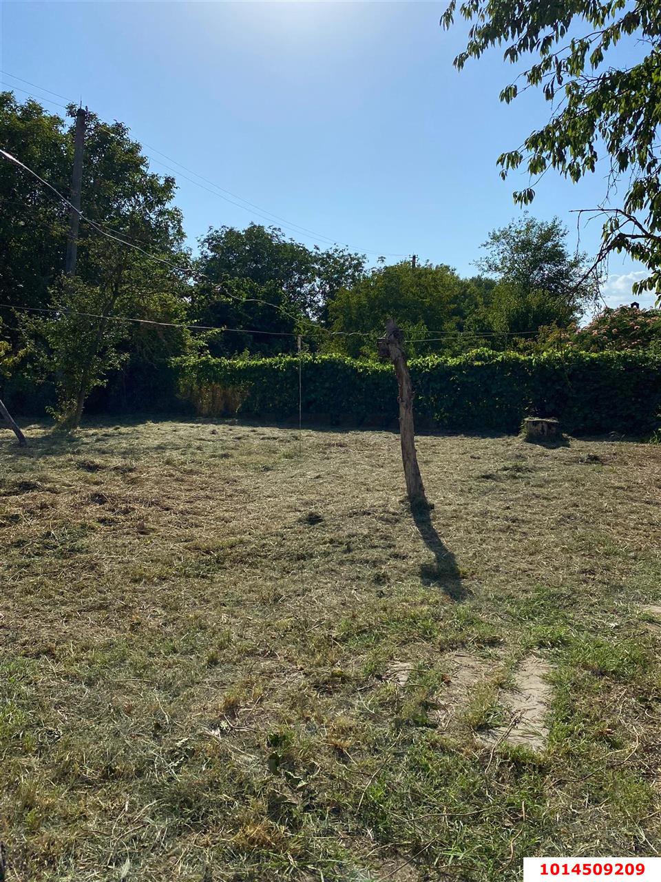 Фото №17: Дом 45 м² + 6 сот. - СНТ Микробиолог, мкр. Прикубанский внутригородской округ, ул. Абрикосовая