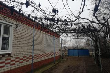 Фото №1: Дом 59 м² - Бриньковская, ул. Кирова, 71