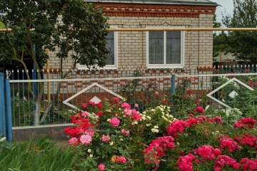 Фото №5: Дом 59 м² - Бриньковская, ул. Кирова, 71