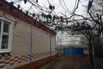 Фото №3: Дом 59 м² - Бриньковская, ул. Кирова, 71