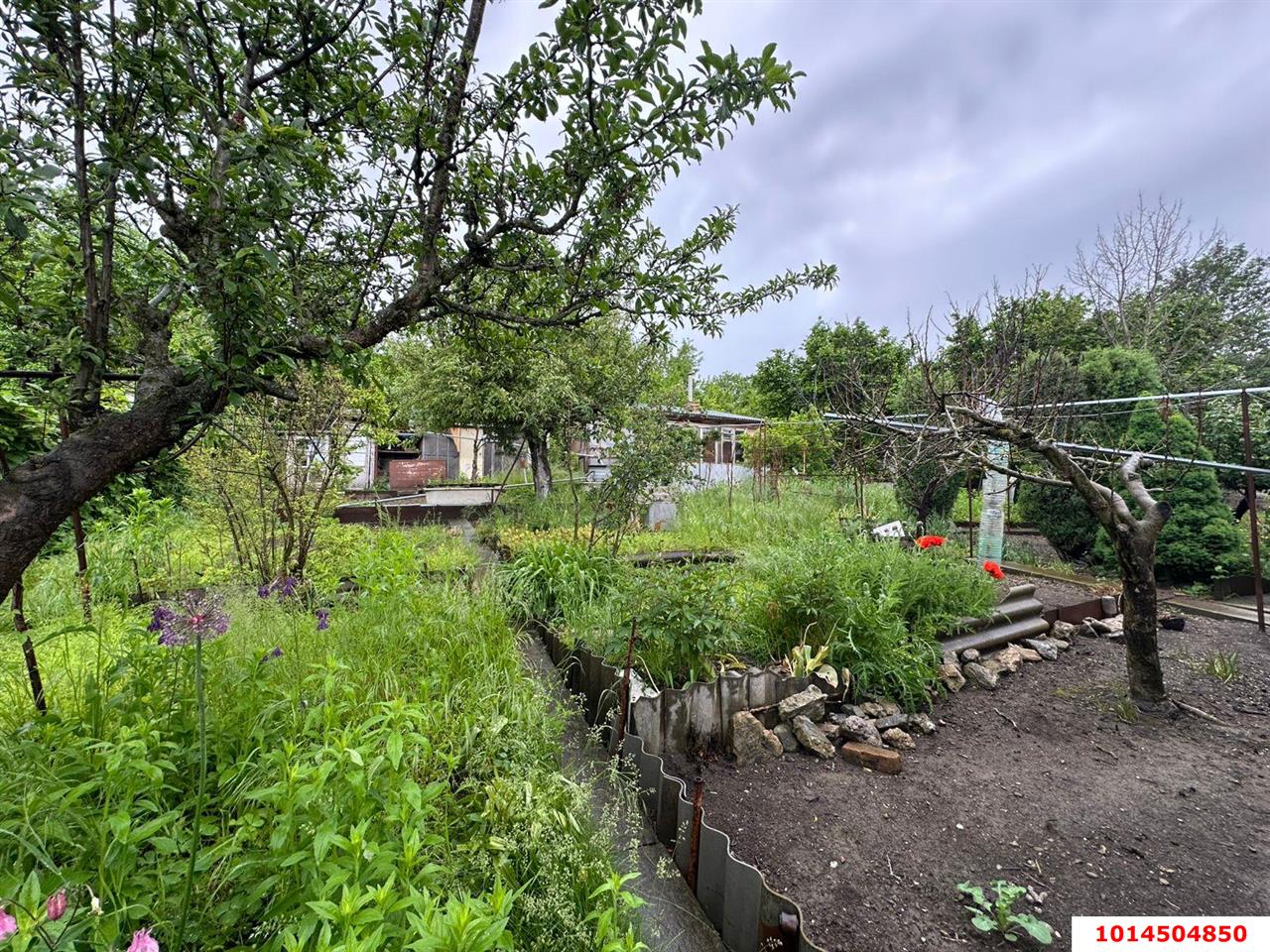 Фото №4: Дом 56 м² + 6.38 сот. - Ильский, мкр. СТ Сельмаш-3, 7