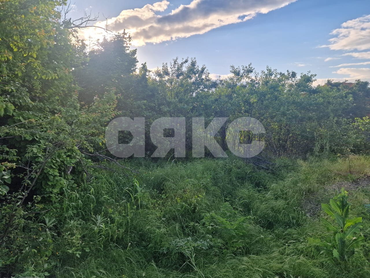 Фото №2: Земельный участок под ИЖС 3.5 сот. - Армавир, Линии, ул. 18-я Линия, 20