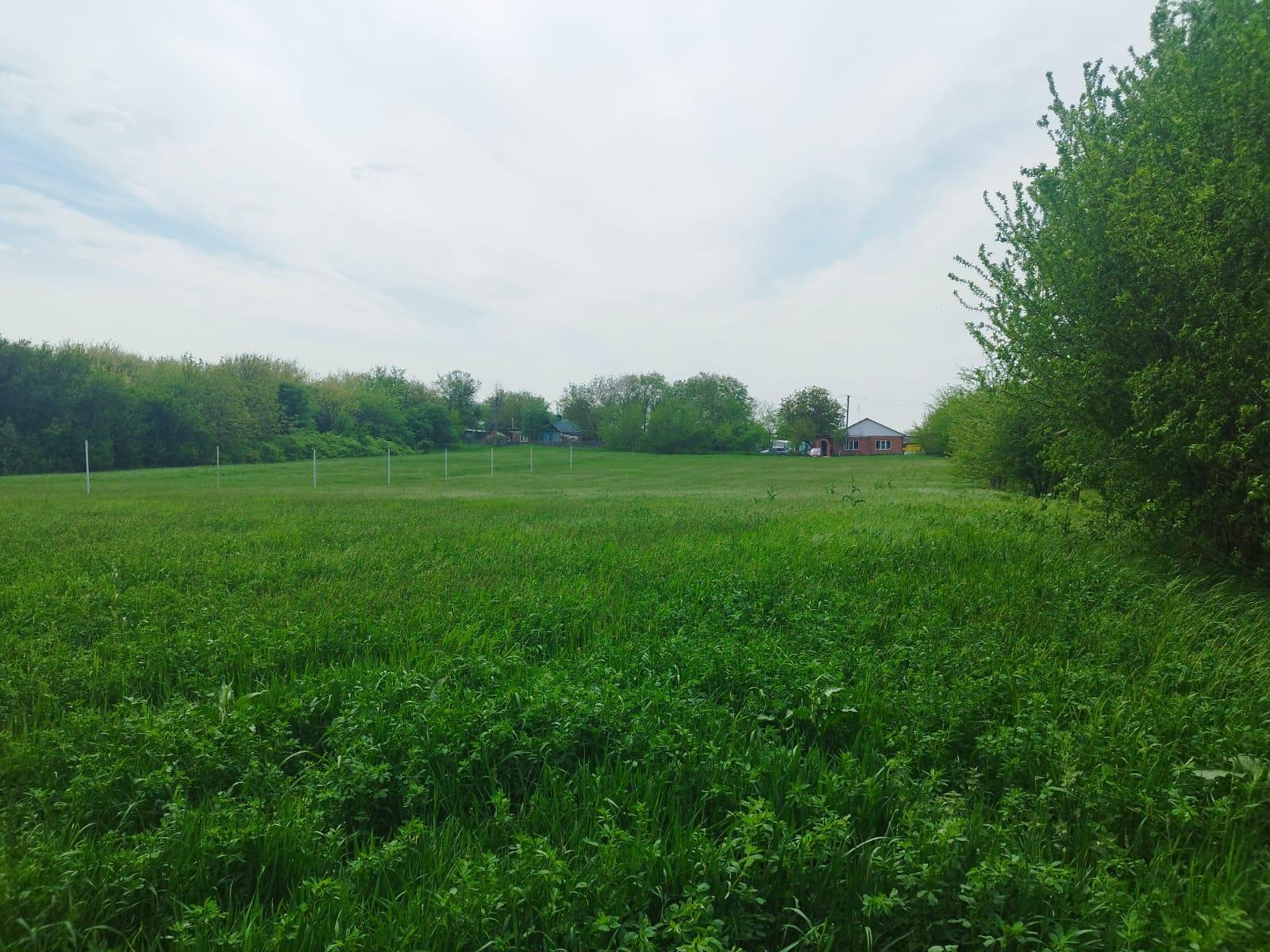 Фото №1: Земельный участок 5.32 сот. - садово- Прогресс, 27