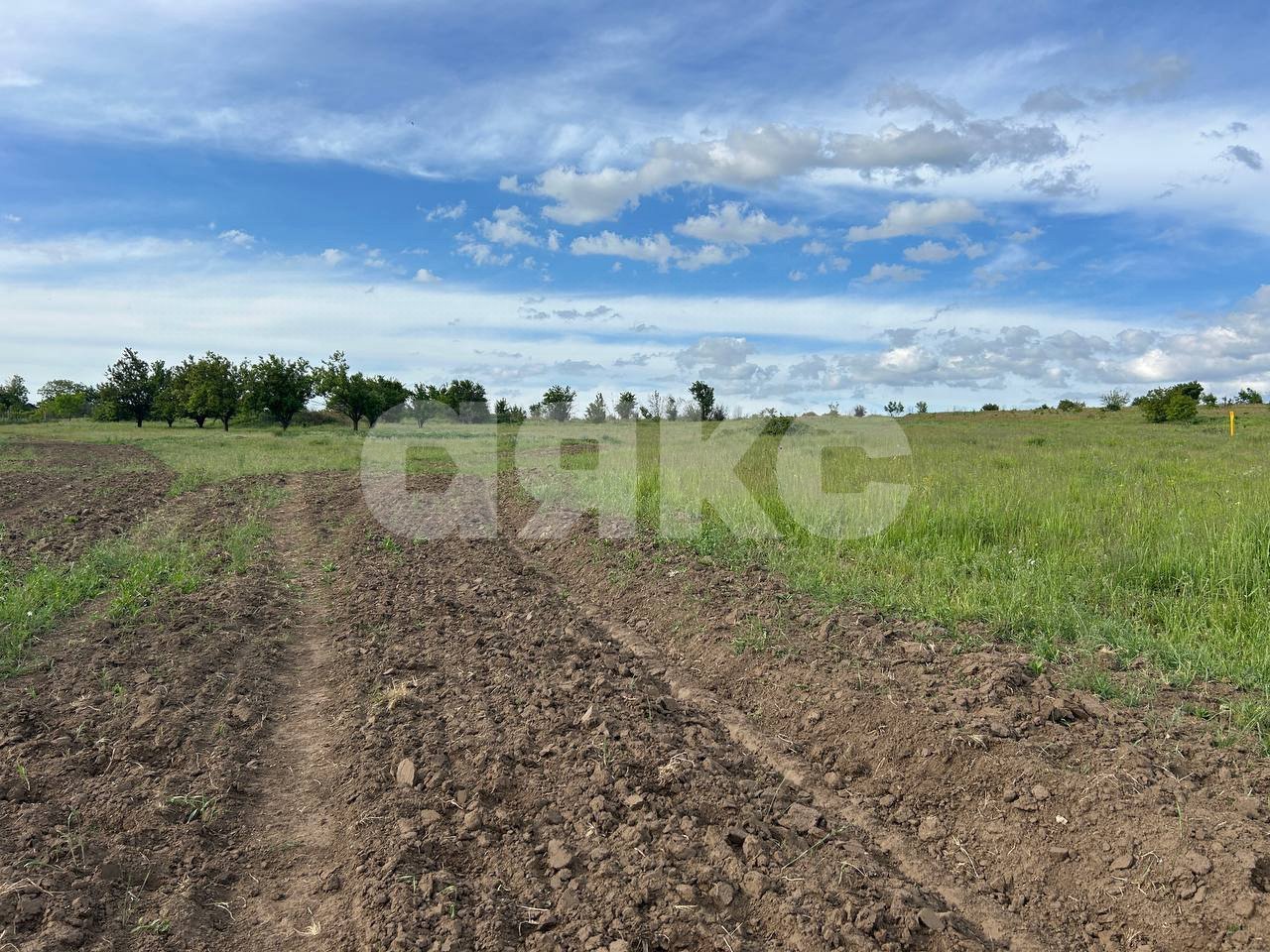 Фото №4: Участок садоводство 8 сот. - Темрюк, СОТ Азовец, 