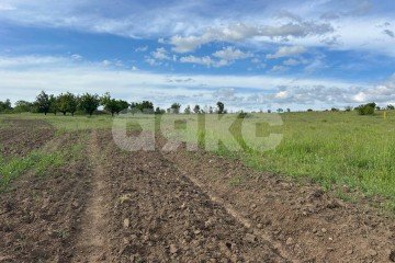 Фото №3: Участок садоводство - Темрюк, мкр. СОТ Азовец, 