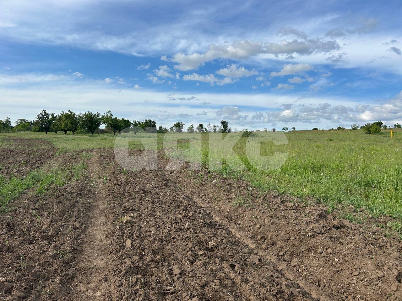 Фото №3: Участок садоводство 8 сот. - Темрюк, СОТ Азовец, 