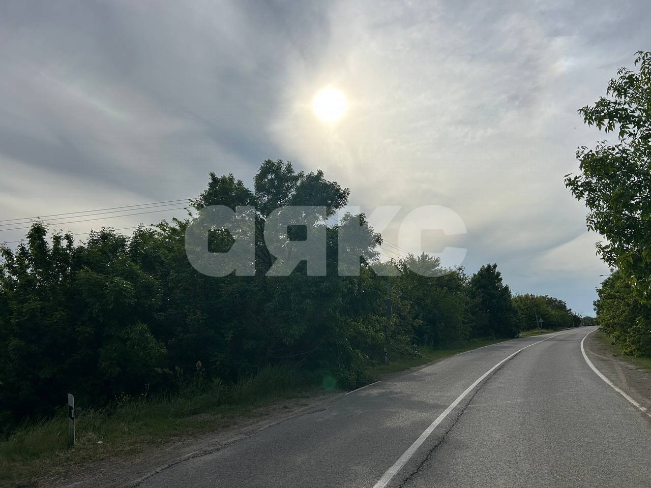 Фото №11: Участок садоводство 8 сот. - Темрюк, СОТ Азовец, 