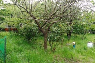 Фото №2: Дом 49 м² - Дорожник, мкр. Прикубанский внутригородской округ, ул. Клубничная, 3