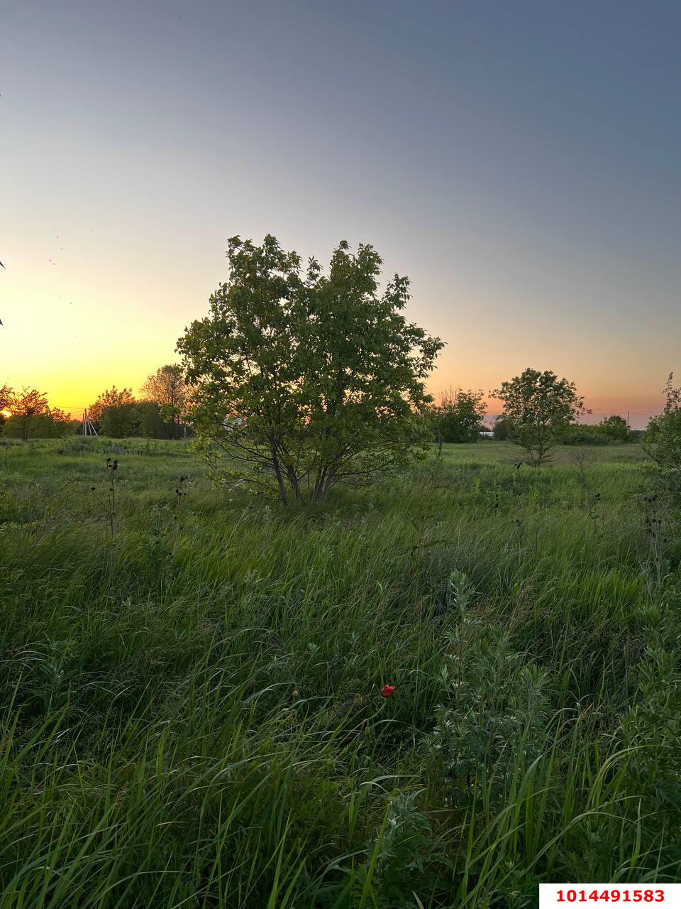 Фото №3: Земельный участок под ИЖС 10 сот. - Октябрьский, Прикубанский внутригородской округ, ул. Извилистая, 91