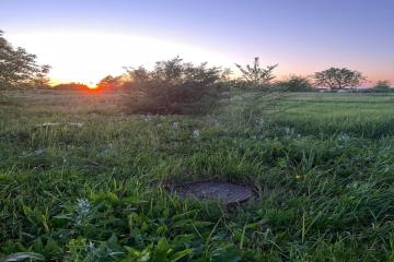 Фото №3: Земельный участок 10 сот. - Октябрьский, мкр. Прикубанский внутригородской округ, ул. Извилистая, 91