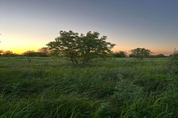 Фото №1: Земельный участок 10 сот. - Октябрьский, мкр. Прикубанский внутригородской округ, ул. Извилистая, 91