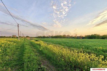 Фото №2: Земельный участок под ИЖС 8.25 сот. - Киевское, ул. Демченко, 148