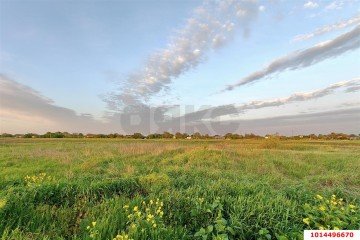 Фото №4: Земельный участок под ИЖС 8.25 сот. - Киевское, ул. Демченко, 148