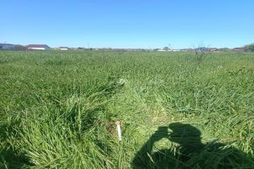 Фото №4: Земельный участок 8.38 сот. - садовое некоммерческое товарищество Авиатор, мкр. Прикубанский внутригородской округ, ул. Липовая, 214