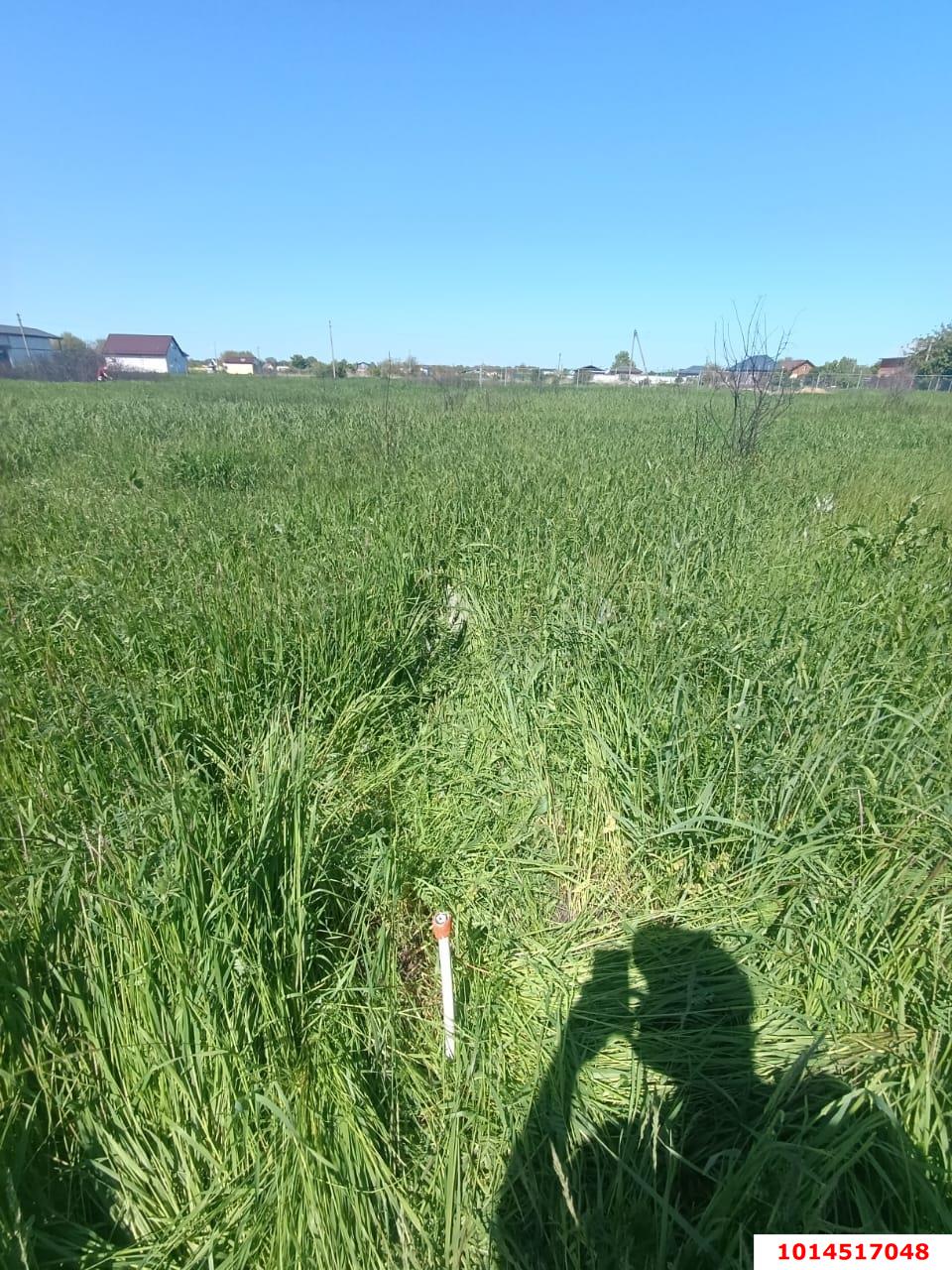 Фото №4: Земельный участок 8.38 сот. - садовое некоммерческое товарищество Авиатор, мкр. Прикубанский внутригородской округ, ул. Липовая, 214