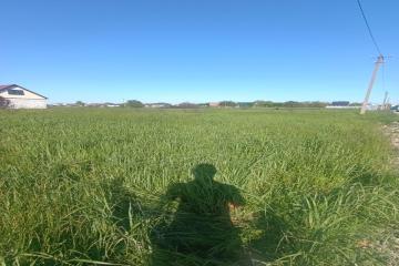 Фото №3: Земельный участок 8.38 сот. - садовое некоммерческое товарищество Авиатор, мкр. Прикубанский внутригородской округ, ул. Липовая, 214